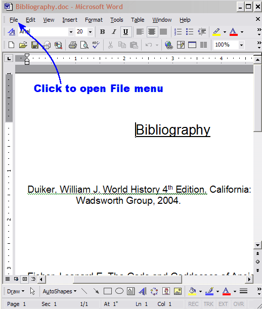 MS Word window