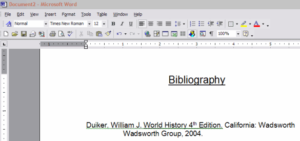 New MS Word document