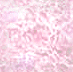 pink tile