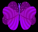 simple vector butterfly