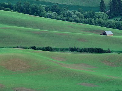 farm scene