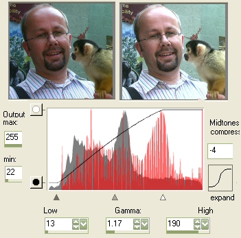 monkey, man and histogram